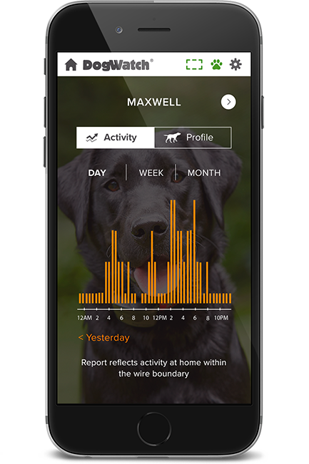 DogWatch of Eastern MA, , Massachusetts | SmartFence WebApp Image