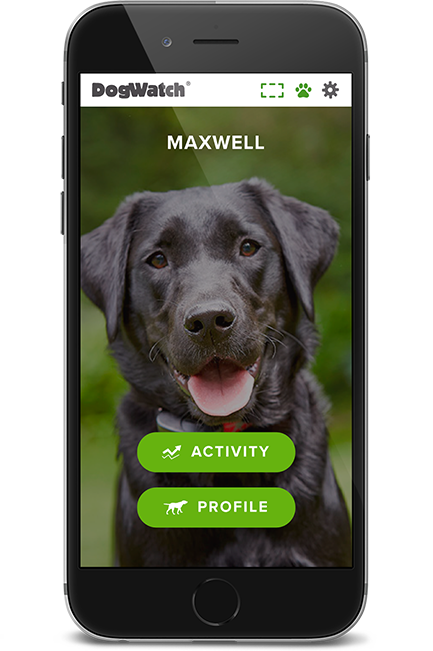 DogWatch of Eastern MA, , Massachusetts | SmartFence WebApp Image