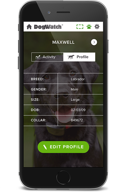 DogWatch of Eastern MA, , Massachusetts | SmartFence WebApp Image